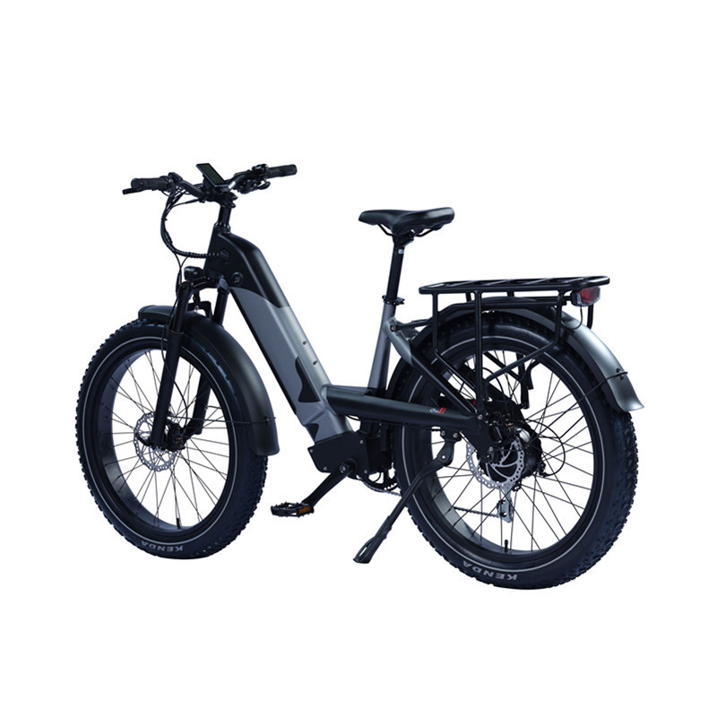 750W Fat Tire Step Through Electric Bike Premium Ebike from Trusted Manufacturer Beach Cruiser Bike with Strong Frame