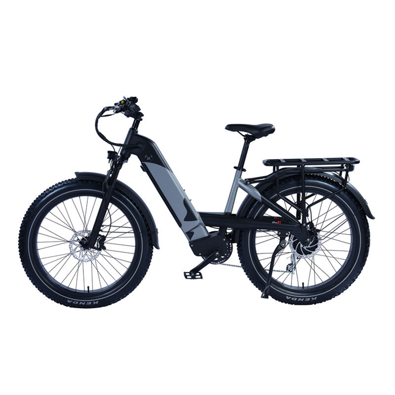 750W Fat Tire Step Through Electric Bike Premium Ebike from Trusted Manufacturer Beach Cruiser Bike with Strong Frame