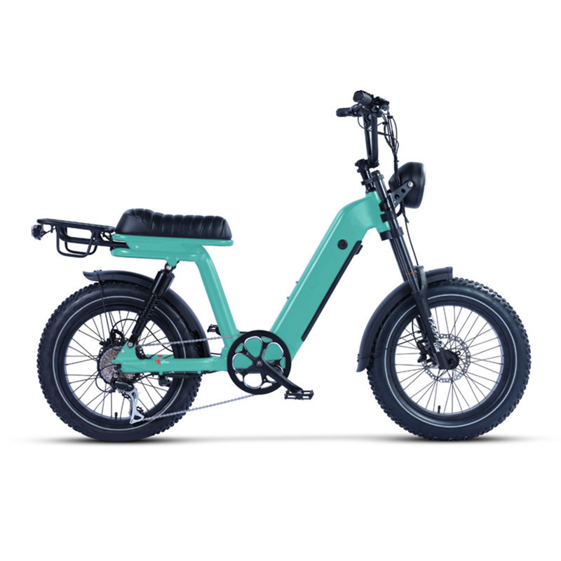 New Moped Style Electric Fat Bike Step Thru Fat Tire Electric Delivery Bike 750W 48V 15A Battery Retro Cargo Bike Electric