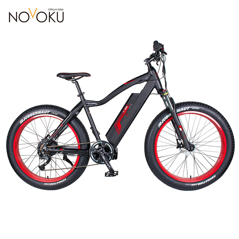 new design 26 Inch Cheap Mountain Battery Electric Bike Fat Tire