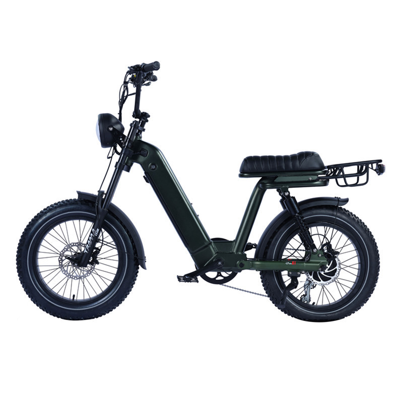 20x4.0 Fat Tire Retro Chopper Electric Bike 750W Hub Motor Beach Snow e-bikes Banana Seat