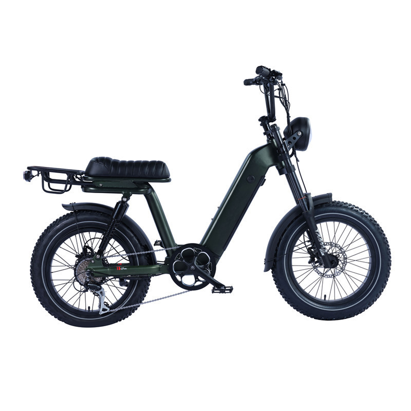 New Moped Style Electric Fat Bike Step Thru Fat Tire Electric Delivery Bike 750W 48V 15A Battery Retro Cargo Bike Electric