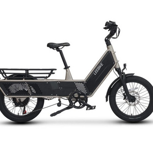 New 2025 Family Cargo E-Bike Long-tail Electric Cargo Bikes eCargo Delivery Electric Bike