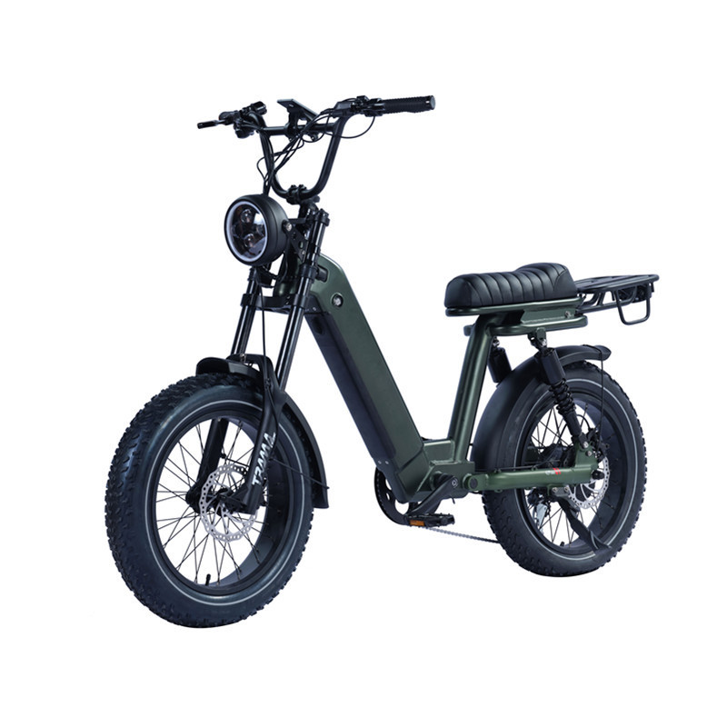 20x4.0 Fat Tire Retro Chopper Electric Bike 750W Hub Motor Beach Snow e-bikes Banana Seat