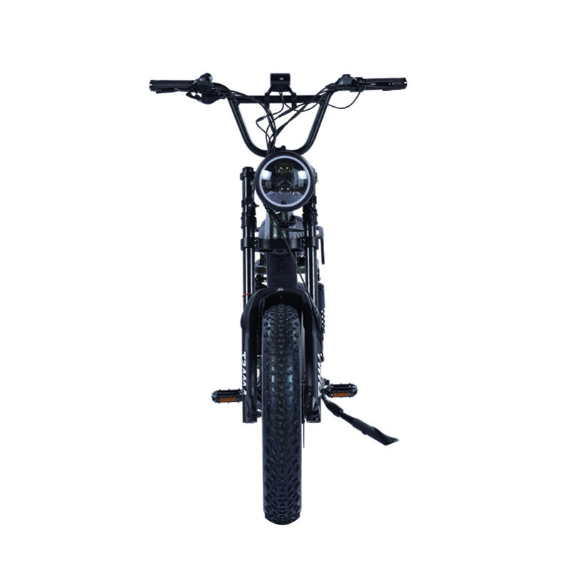 New Moped Style Electric Fat Bike Step Thru Fat Tire Electric Delivery Bike 750W 48V 15A Battery Retro Cargo Bike Electric