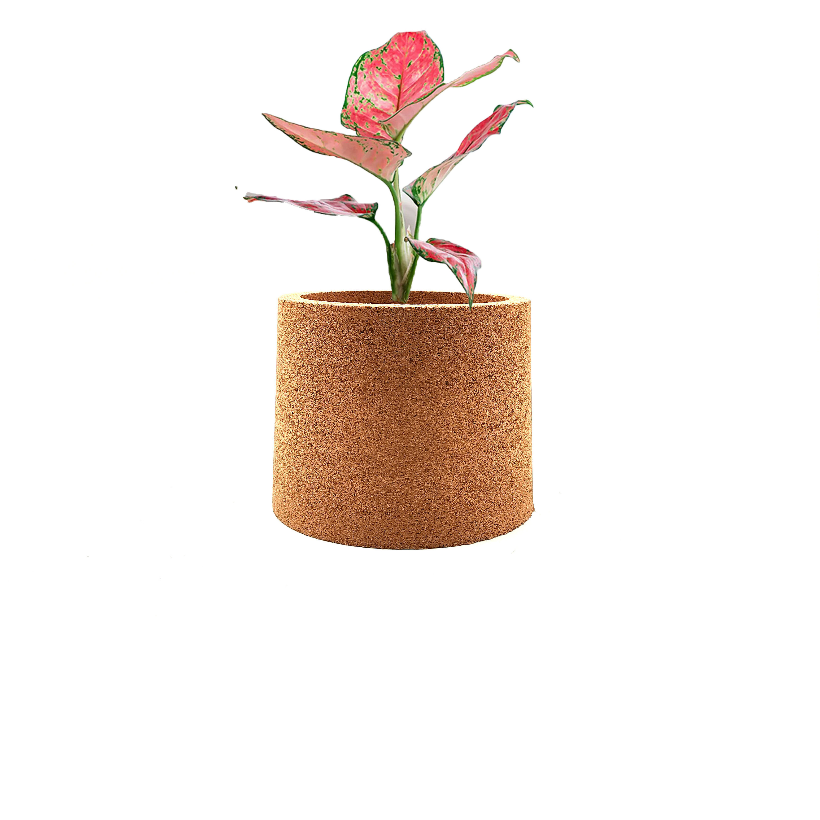 LEECORK Multi Use Indoor Planter Gardening Gift Cork Flower Pot Large Eco-Friendly Natural Cork Pot for Plants