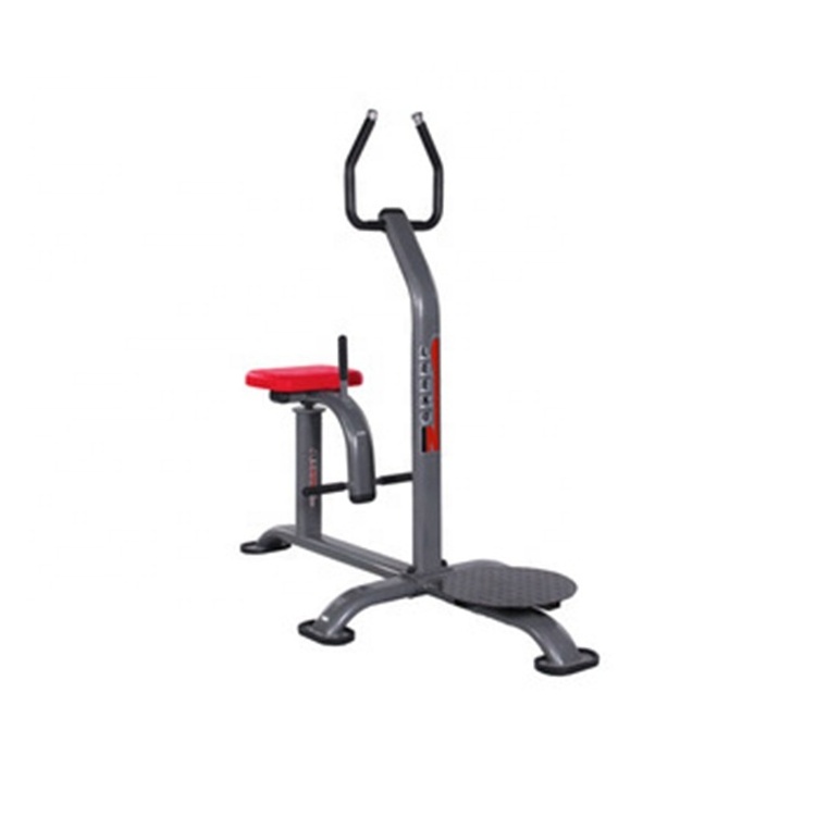 Leekon Professional Gym Flat Bench Torso Rotation Machine Commercial Waist Twister Fitness Equipment Trainer Machine