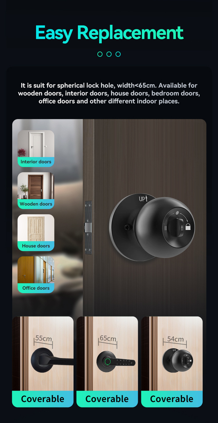 LEELEN bluetooth smart lock door knob tuya app control double locking biometric fingerprint cylindrical knob door lock