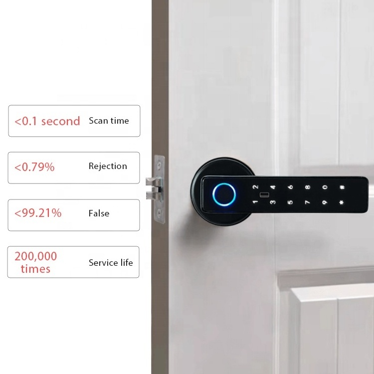 LEELEN custom made smart door lock fashionable fingerprint keyless room lock finger print password card smart lock with handle