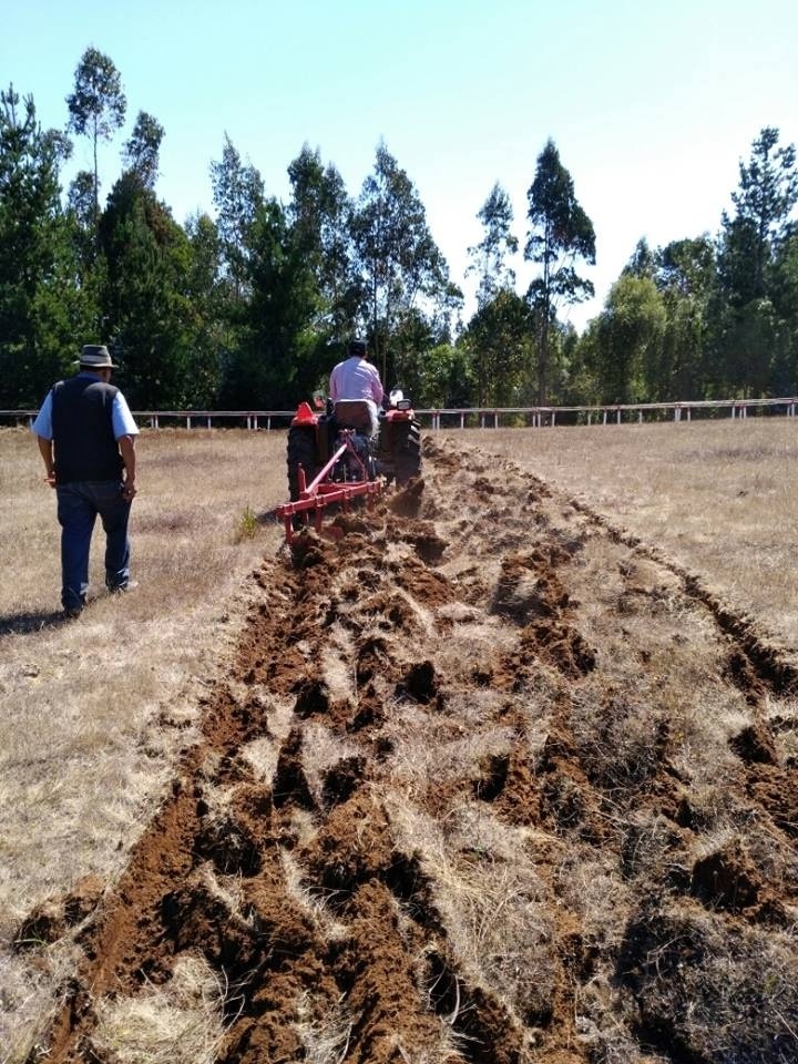 Farm rotary plough machines reversible plough for sale