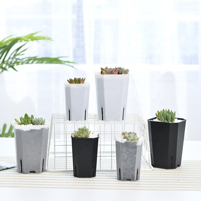 9*12.5cm small clear transparent tall square plastic succulent cactus flower nursery pot