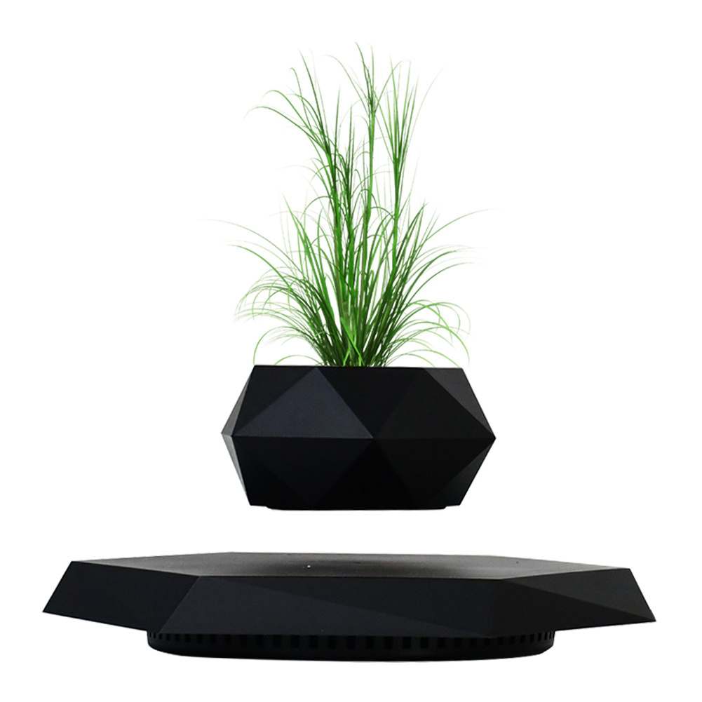 2024 Rotating Plant Hot Sell Magnetic Floating Levitation Floating Plant for Decoration