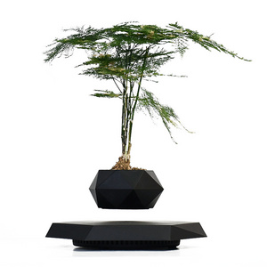 2024 Rotating Plant Hot Sell Magnetic Floating Levitation Floating Plant for Decoration