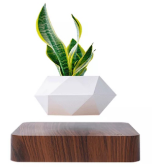 2024 Rotating Plant Hot Sell Magnetic Floating Levitation Floating Plant for Decoration