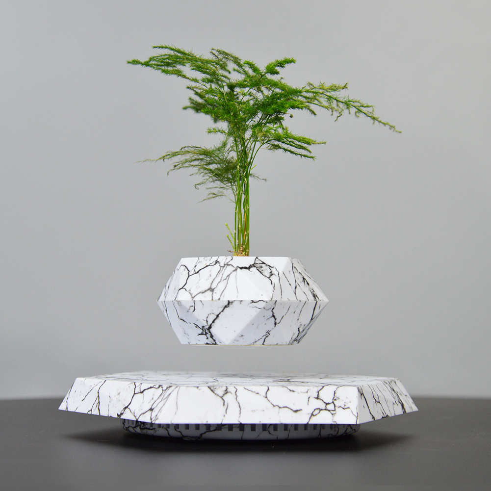 Magnetic Levitating Flower Pot Floating Plant Pot Bonsai Creative Gifts For Home Decoration