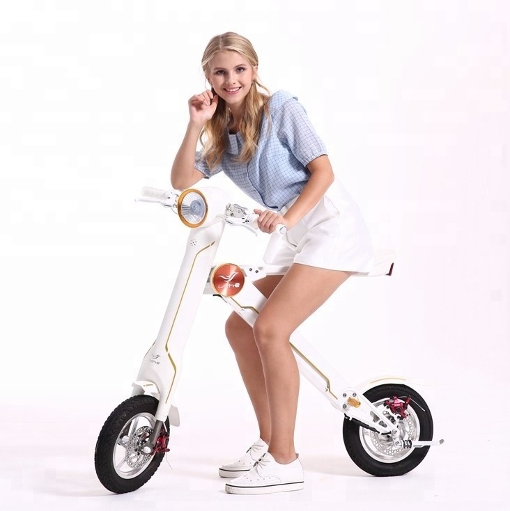 New Design Folding 48v 350w brushless motorized Electric Bike