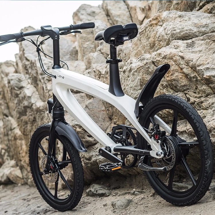 20Inch 36V 250W no fold fat tire beach electric bike