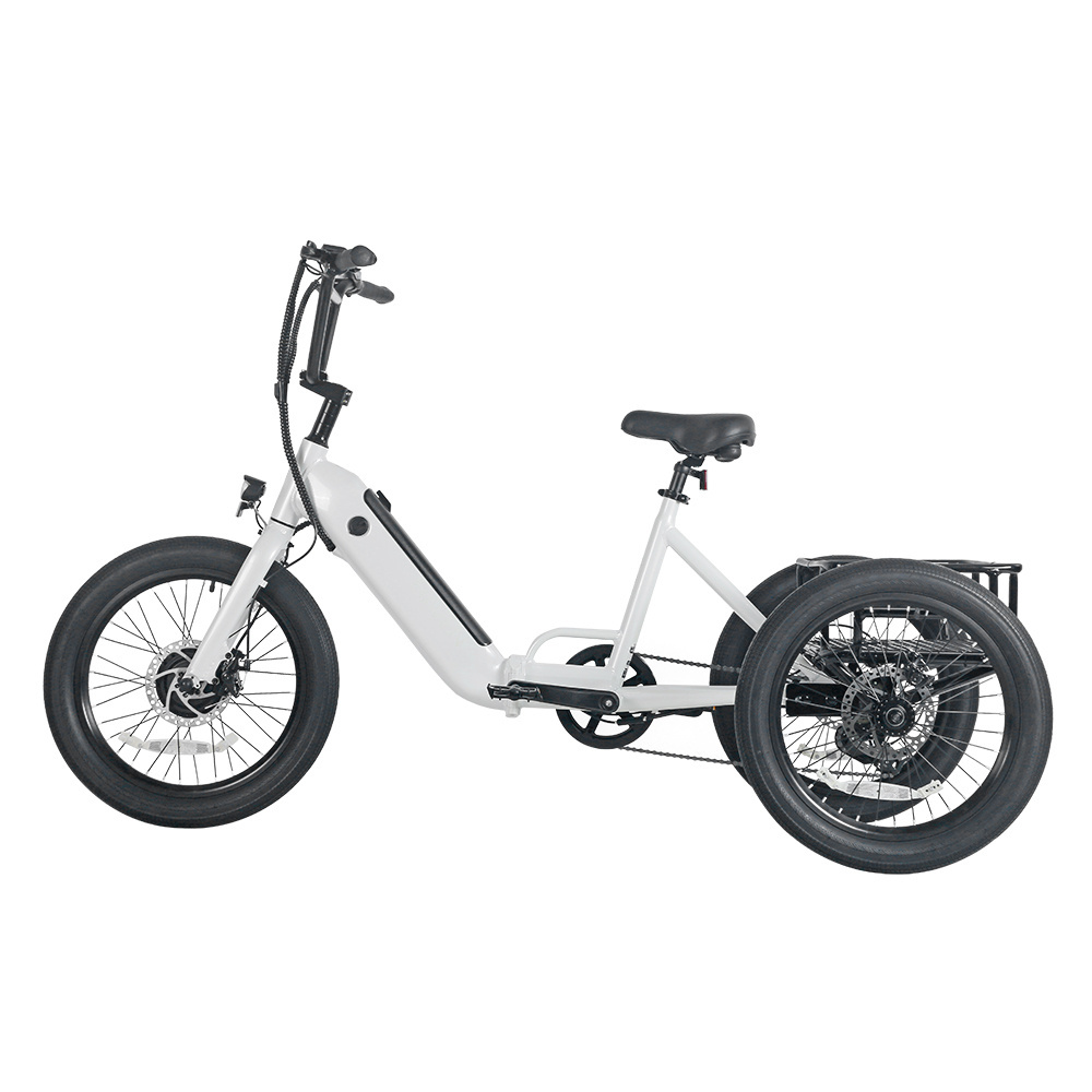 Lehe S9 EEC Trike 3 Wheel Tricycle 350W Motorised Tricycle 3 Wheel Motorcycle