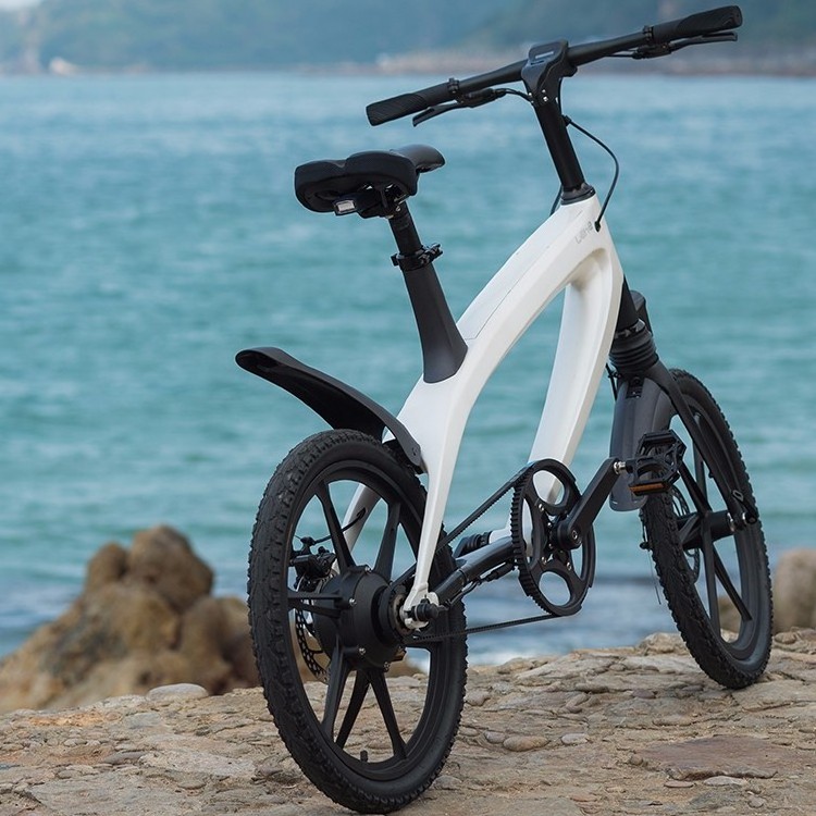 20Inch 36V 250W no fold fat tire beach electric bike