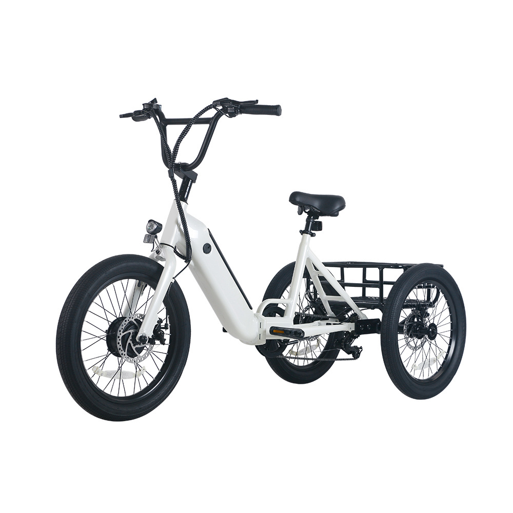 Lehe S9 EEC Trike 3 Wheel Tricycle 350W Motorised Tricycle 3 Wheel Motorcycle