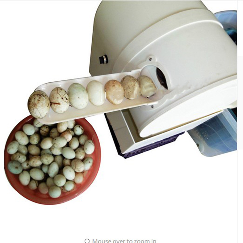 Electric Egg washing machine chicken/duck/goose egg washer egg cleaner wash machine