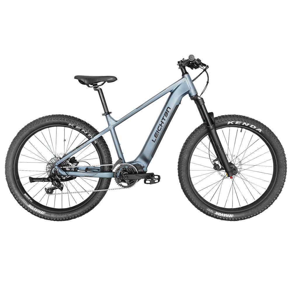 500W electric mountain bike 29 inch Fat Tire and Pedal Assisted System City Riding e-Bike For Adults Torque Sensor Fun Charging