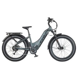 US warehouse free shipping e bike MTB With 750w/20ah battery Electric Mountain Bike 26 fat tire electric bike for women