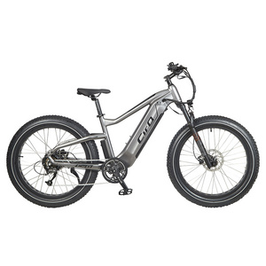 New fashion electric bike 750W rear motor  mountain e bike best ebike for adult 26 inch fat tireelectric mountain e bike