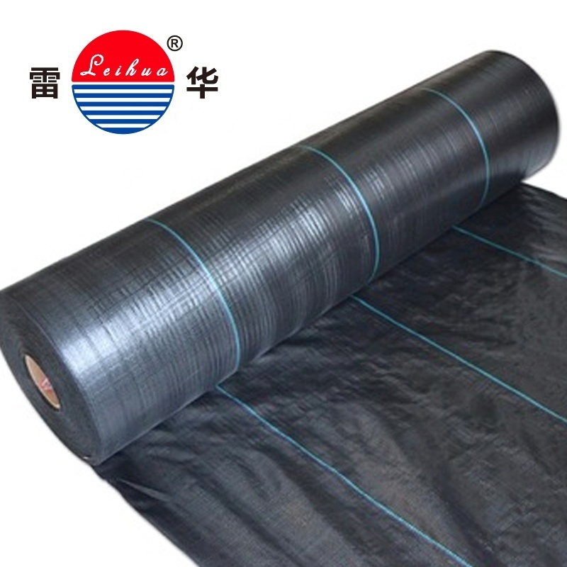 Polyester/PP Woven Geotextiles Fabric For Geo Bags And Geotubes