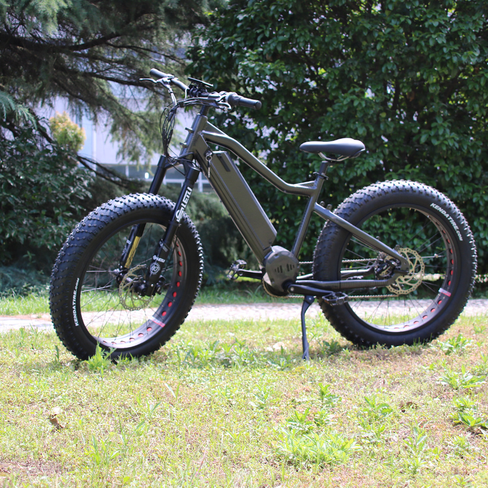 Hot selling leili raptor fat tire E- BIKE 48v 1000W mtb