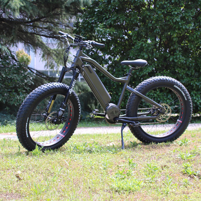 Adult Fat Tire Mountain Ebike 1000W Bafang Motor Mid Drive Electric Mountain Bicycle