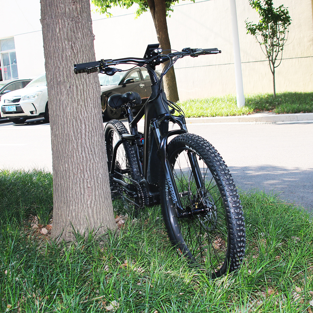 LEILI City or Enduro Electric Bicycle 1000W 20AH New Powered Ultra Light Lithium Electric Bike