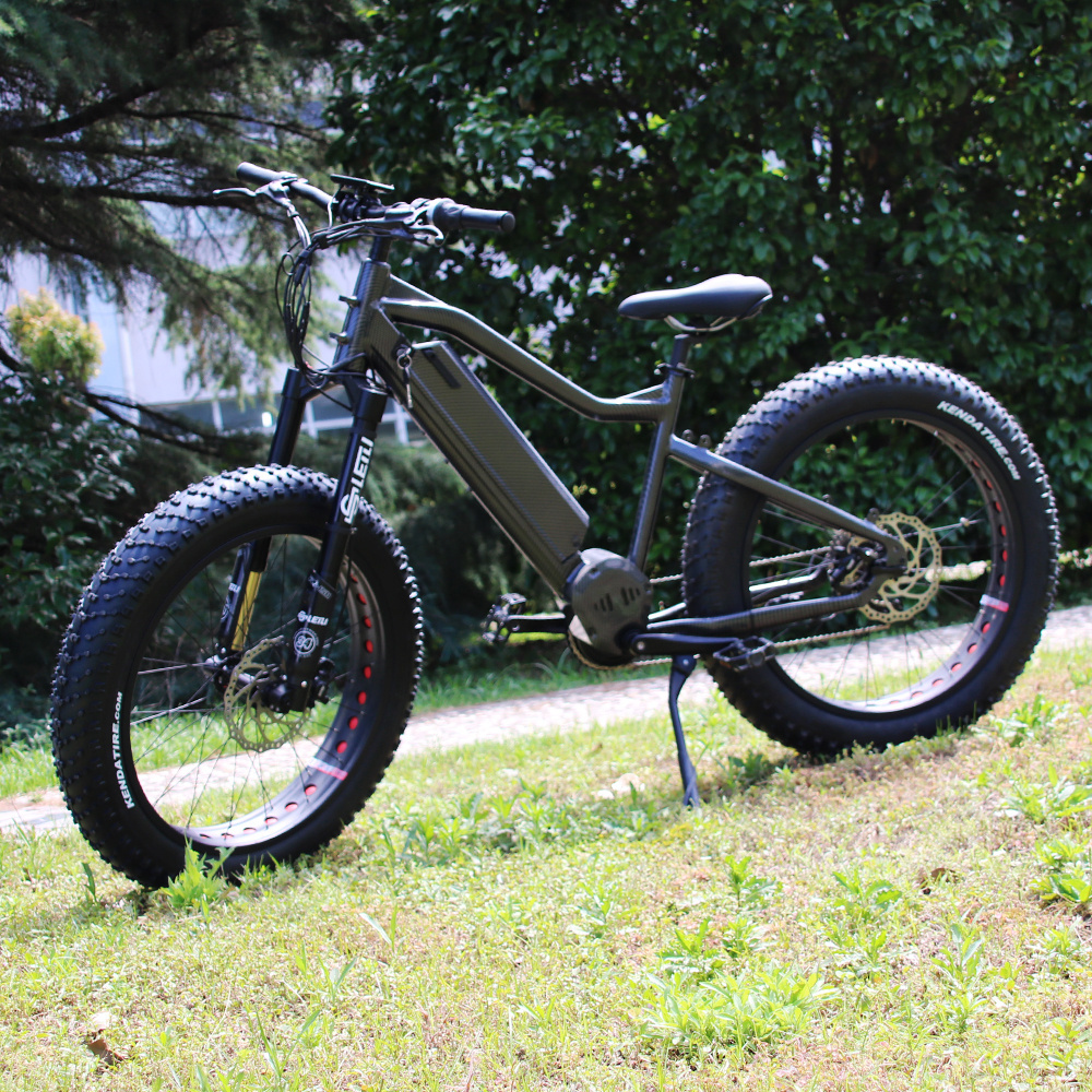 Ultra mid motor G510 1000w ebike for off road fat tire electric bike