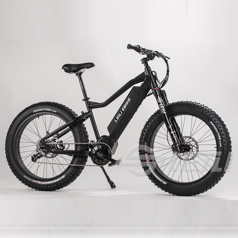 Adult Fat Tire Mountain Ebike 1000W Bafang Motor Mid Drive Electric Mountain Bicycle