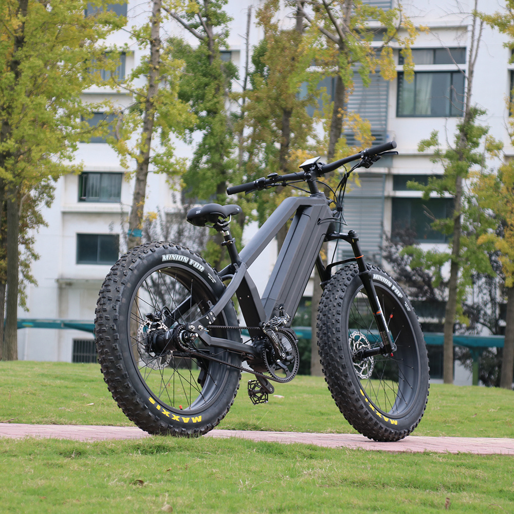 Bafang Mid Motor m620  electric mountain bike 48v/52v e bike fat tire