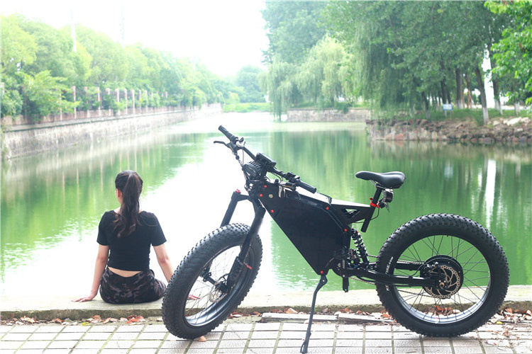 LEILI 1000w big power fat tire electric bike/snow ebike/electric beach cruiser bicycle