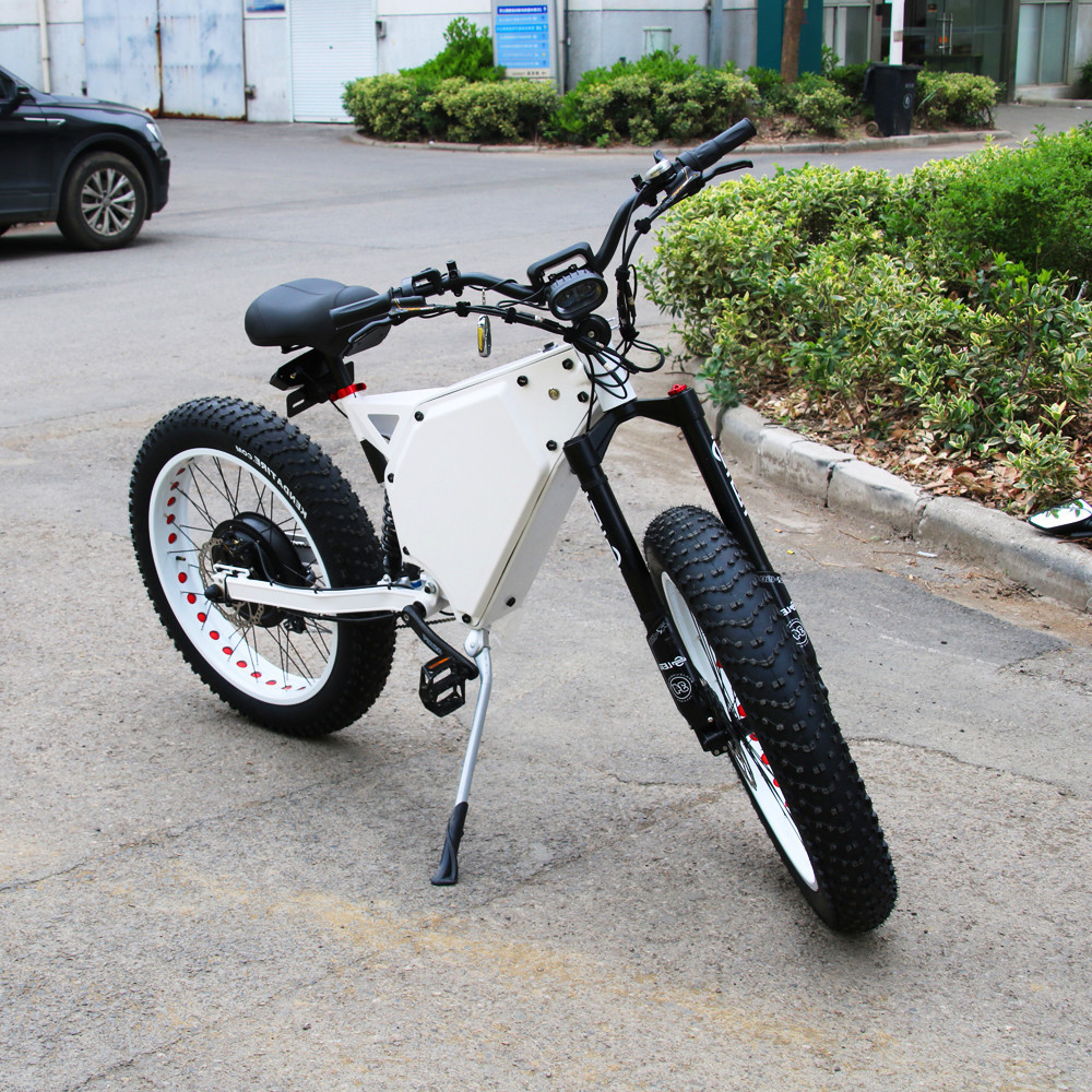 LEILI 1000w big power fat tire electric bike/snow ebike/electric beach cruiser bicycle