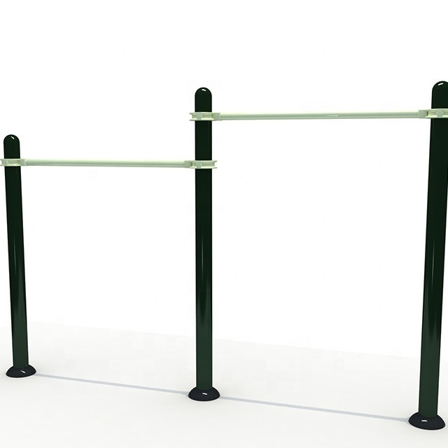 LeisurePlay kids and adults outdoor play gym outdoor gym monkey bar