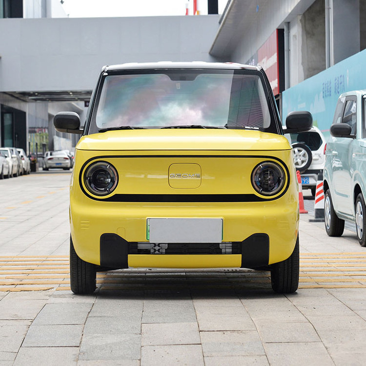 Geely Panda Mini Little Yellow Duck Limited Edition Lucky Model Electric Cars 4 Seats Ev Car Electric Car For Adult