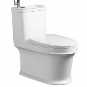 Porcelain Bathroom One Piece Toilets Ceramic Siphon Jet Flushing Toilet Bowl toilet with sink on top washing cistern with basin