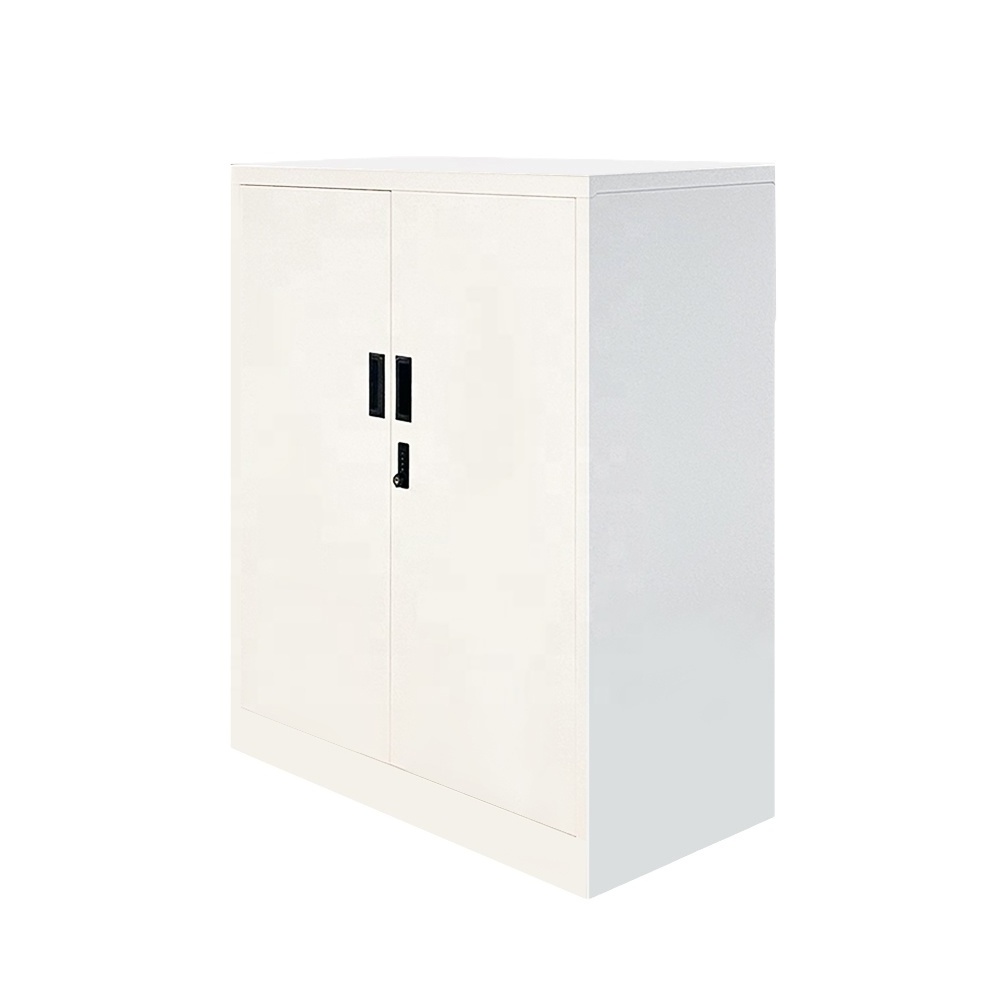 Modern Metal Office Furniture File Storage Cabinet with Lock 2-Door Steel Cupboard for School and Living Room Locker