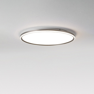 LEMI  Surface Mounted Modern Bedroom Aluminum White Black Color Led Round Ceiling Light