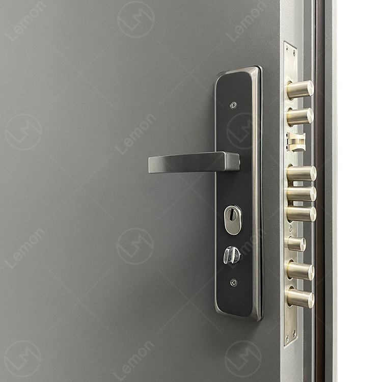 Turkey Modern Luxury Design Smart Lock   Entrance Entry Front Armored Security Steel Doors