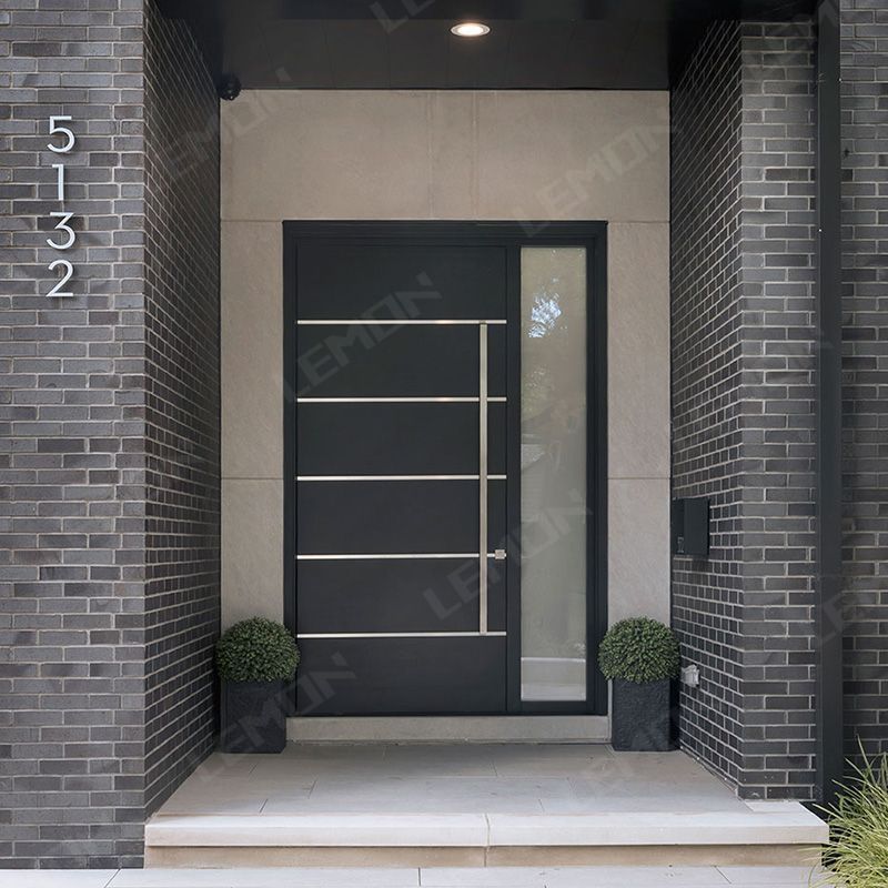 LEMON Long Stainless Metal Handle Security Front Entry Main Pivot Doors For Houses New Design Pivot Steel Door