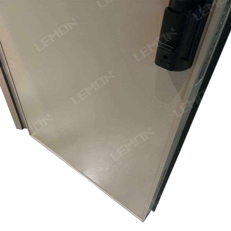 LEMON High Quality Modern Glass Double Entrance Security 304 Stainless Steel Door Design Philippines