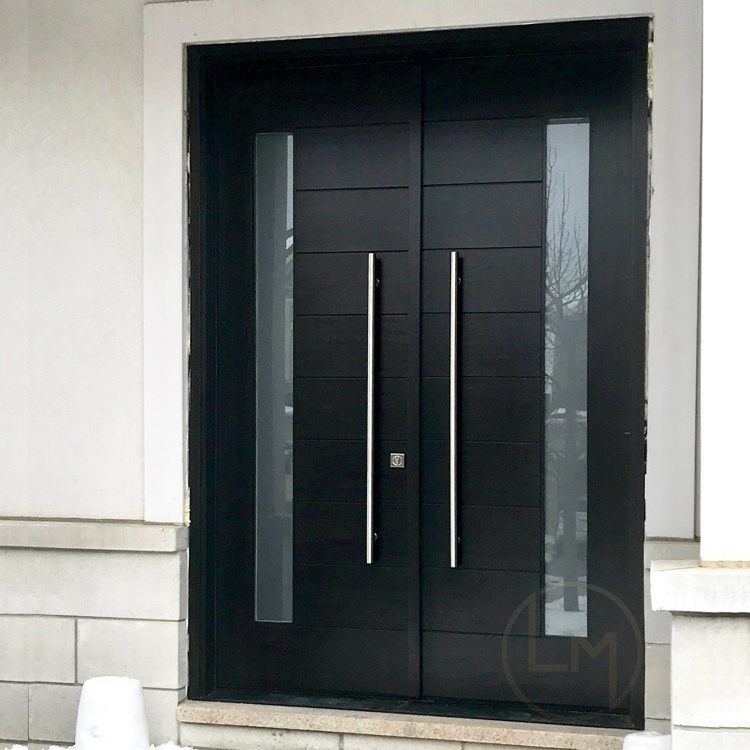 Latest Design Nigeria Steel Interior Door Main Gate Designs Steel Doors Double Stainless Steel Door