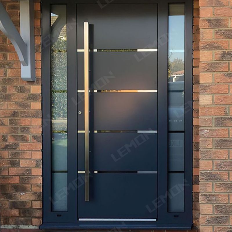 LEMON Long Stainless Metal Handle Security Front Entry Main Pivot Doors For Houses New Design Pivot Steel Door