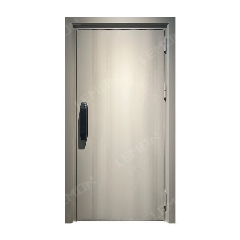 LEMON High Quality Modern Glass Double Entrance Security 304 Stainless Steel Door Design Philippines