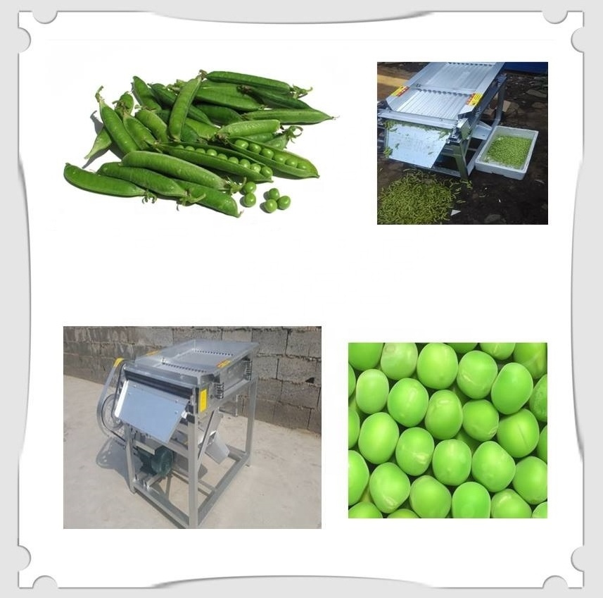 Green Pigeon Pea sheller machine peeling beans and peas peeler machine