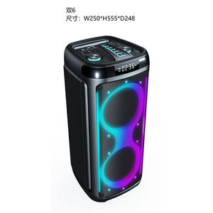 portable double 6.5 inch 8 inch rgb light heavy bass music home theater sound system sound box trolley partyspeaker bt speaker